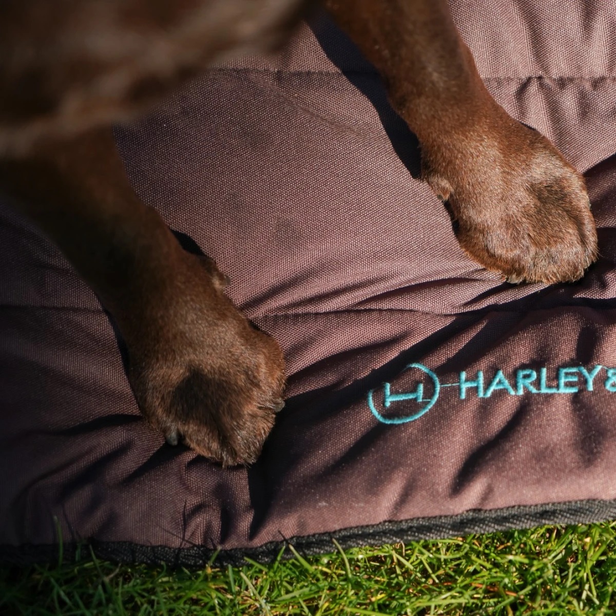 HARLEY AND CHO Travel Roll Up Mat Brown Коврик для собак2