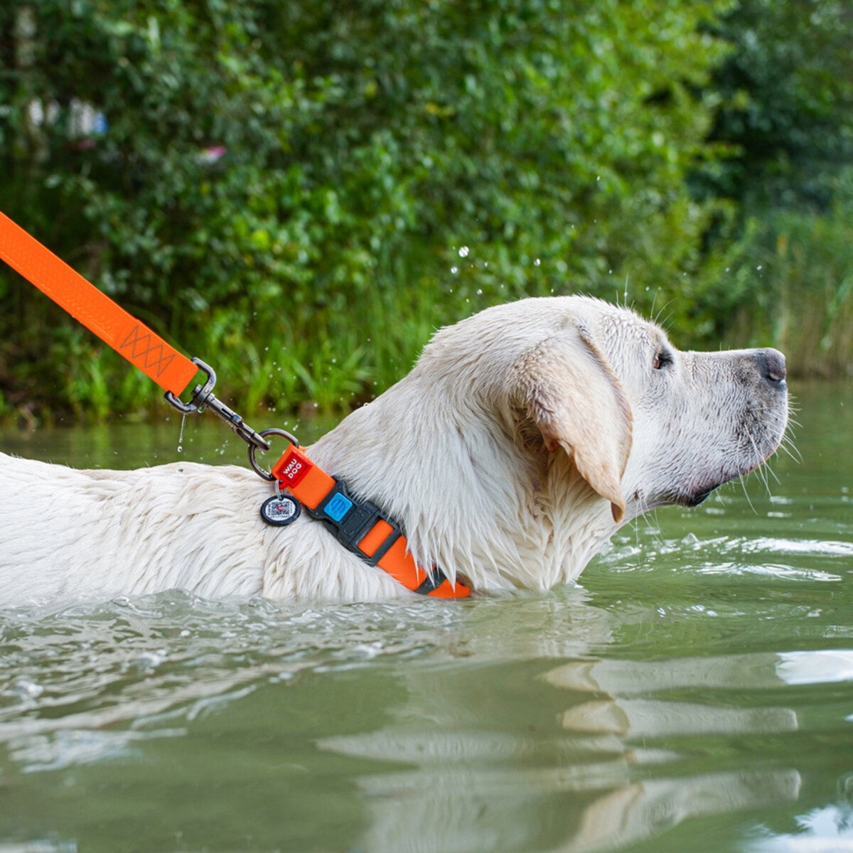 WAUDOG Waterproof Ошейник водостойкий для собак1