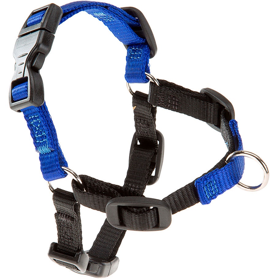 FERPLAST Coach P Harness Blue Шлейка для дрессировки собак0