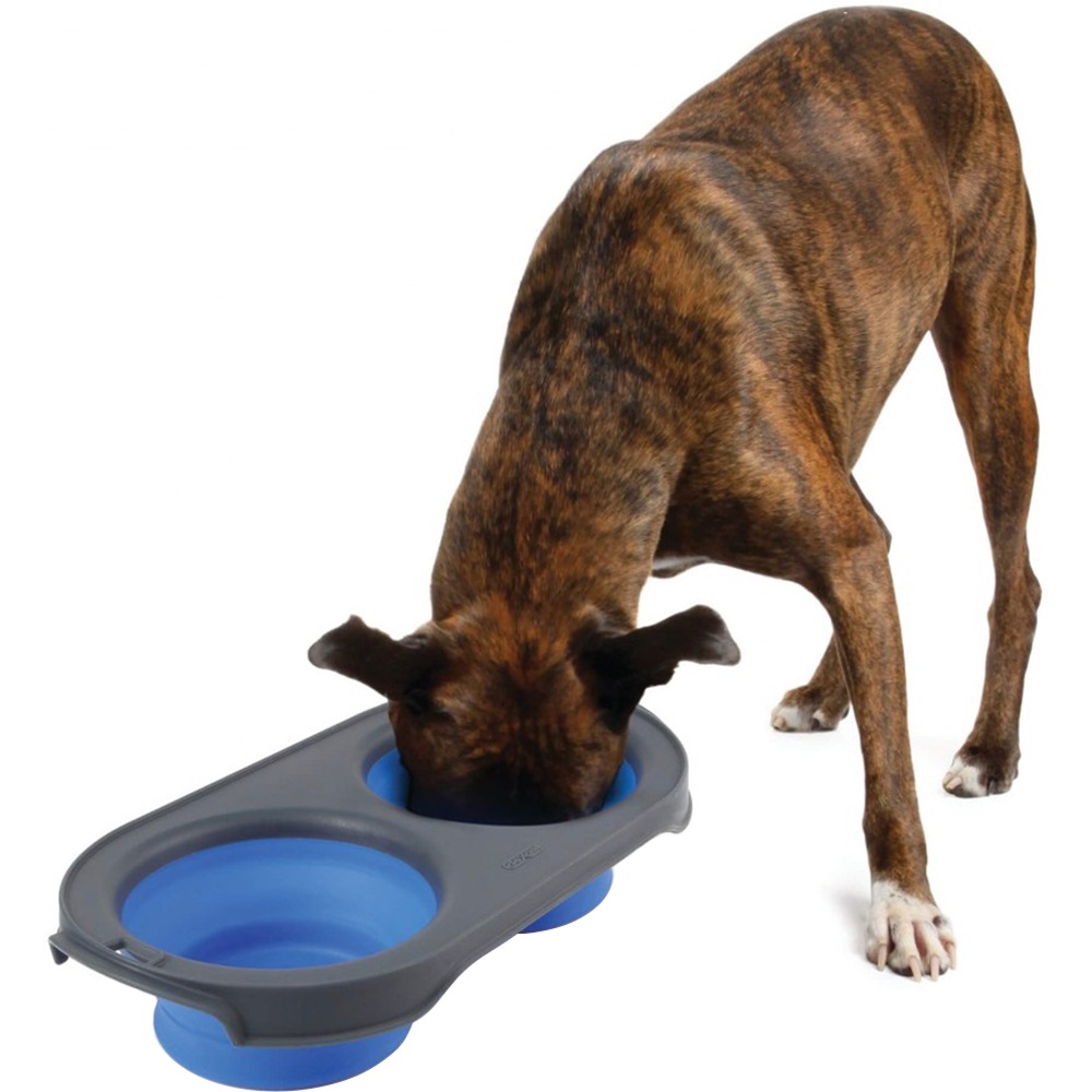 DEXAS Collapsible/Expandable Pet Feeder Подвійна миска для собак1