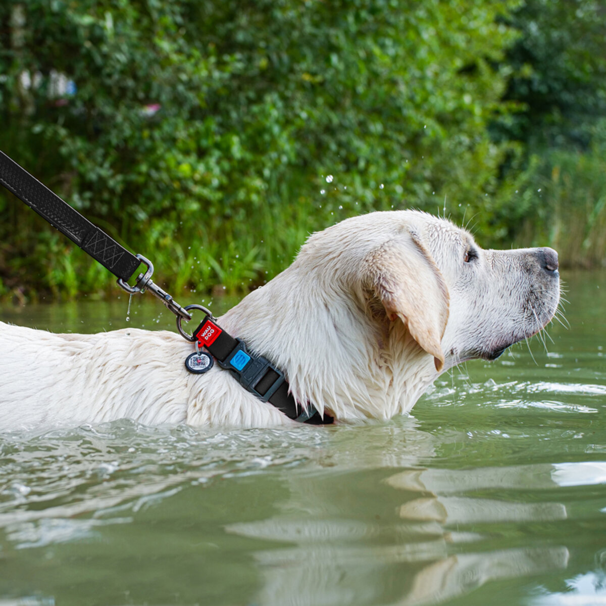 WAUDOG Waterproof Нашийник водостійкий для собак2