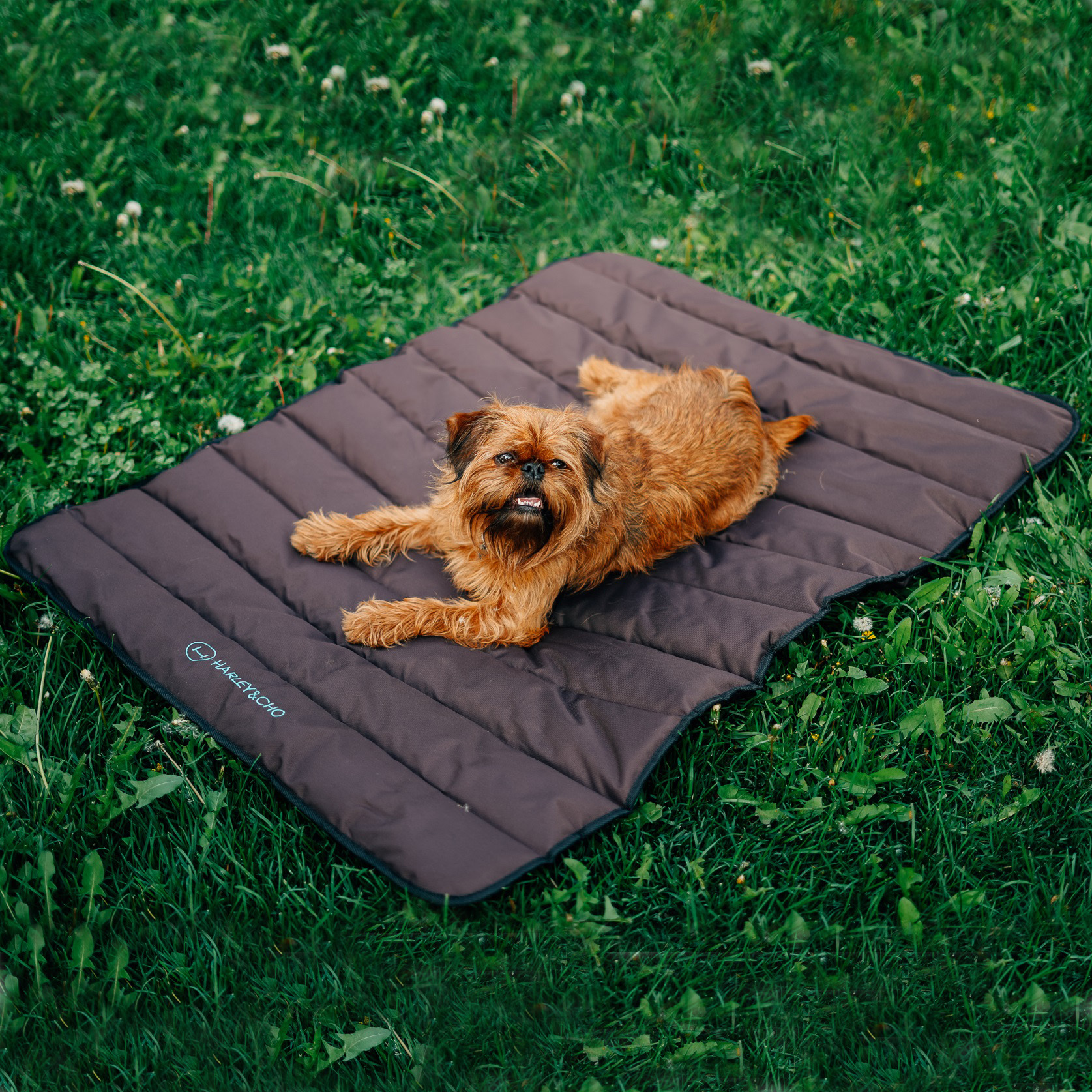 HARLEY AND CHO Travel Roll Up Mat Brown Килимок для собак1