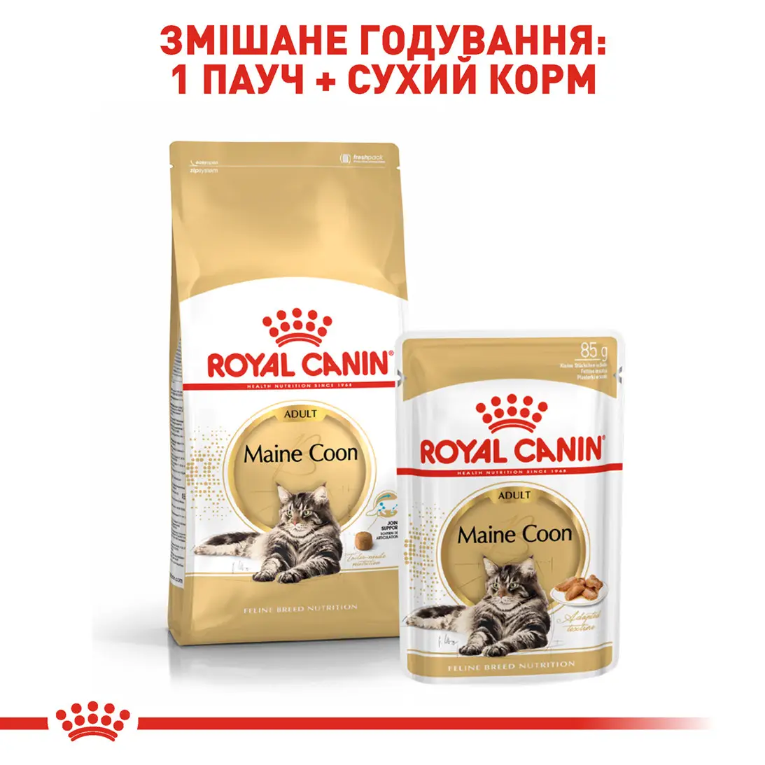 ROYAL CANIN Maine Coon Adult Сухий корм для дорослих котів породи Мейн-кун5