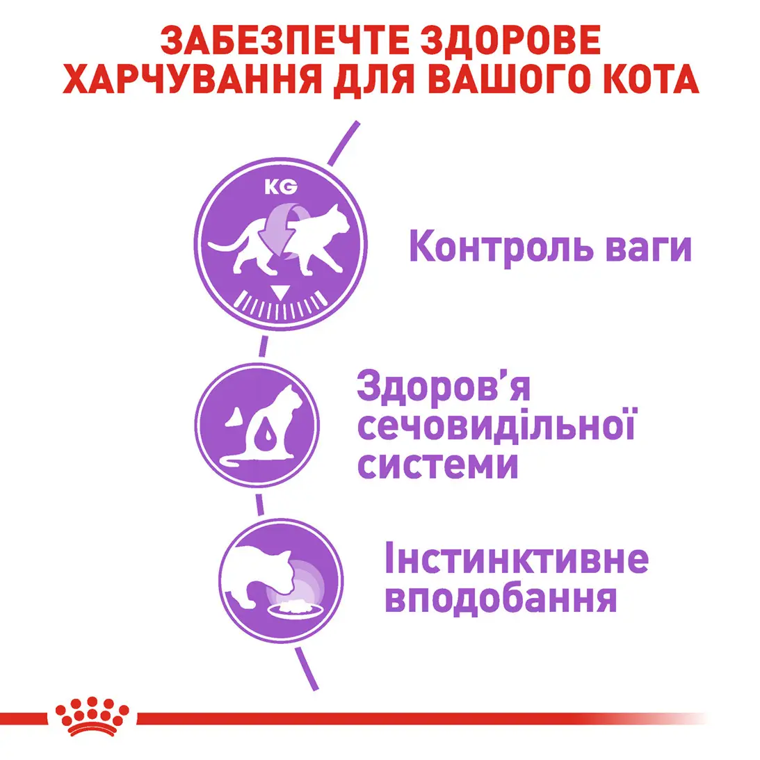 ROYAL CANIN Sterilised Gravy Вологий корм для дорослих стерилізованих котів2