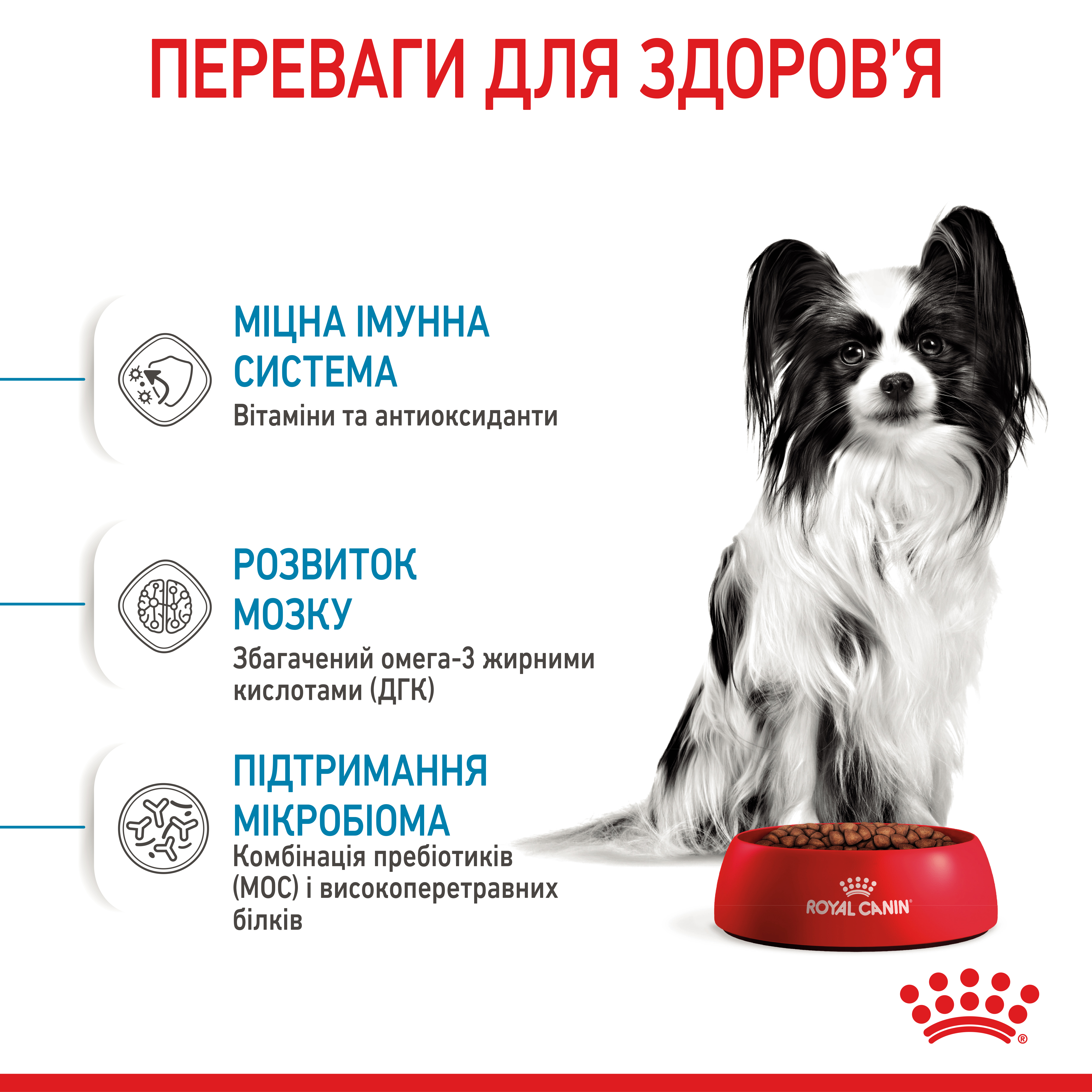 ROYAL CANIN X-Small Puppy Сухий корм для цуценят мініатюрних порід8