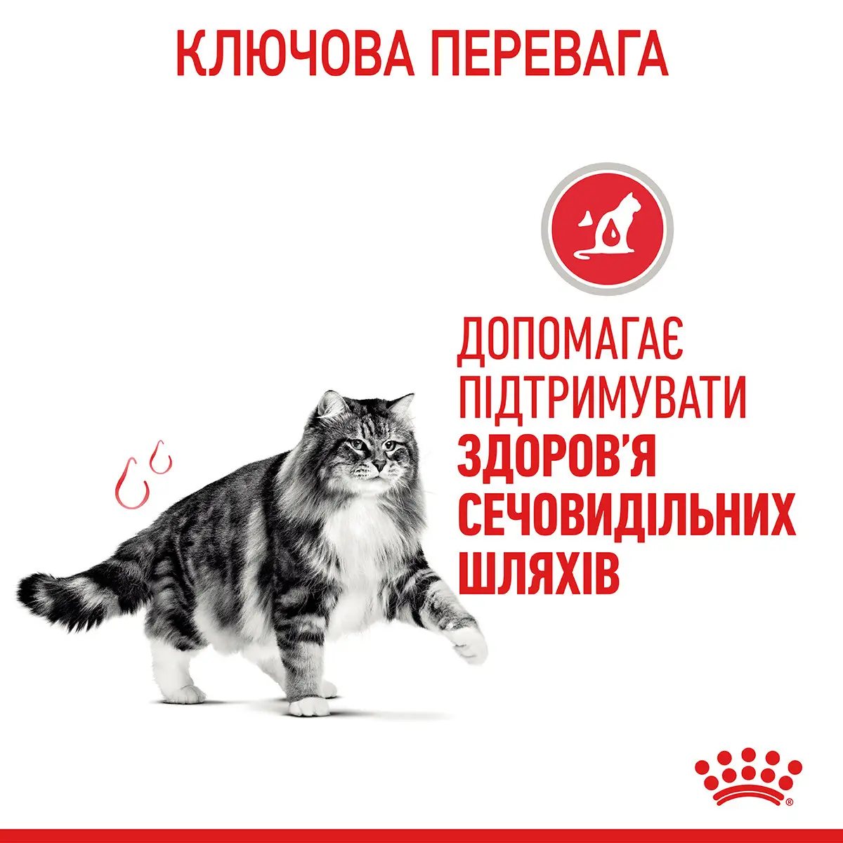 ROYAL CANIN Urinary Care Вологий корм для дорослих котів2