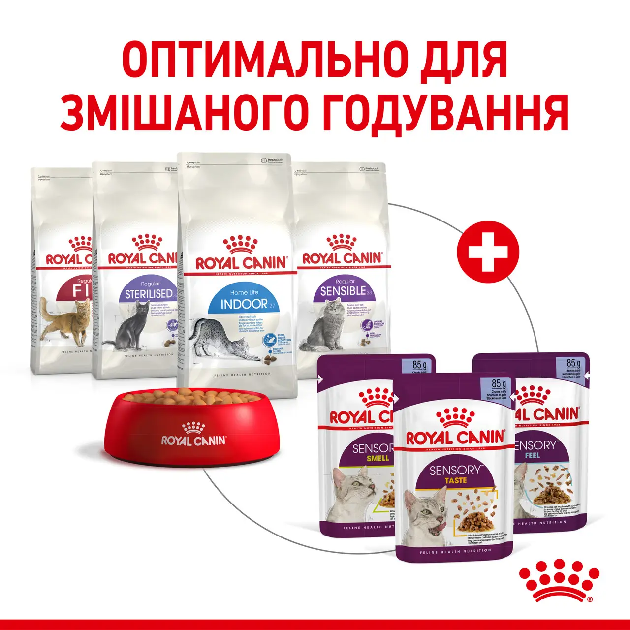 ROYAL CANIN Sensory Smell Jelly Вологий корм для дорослих котів4