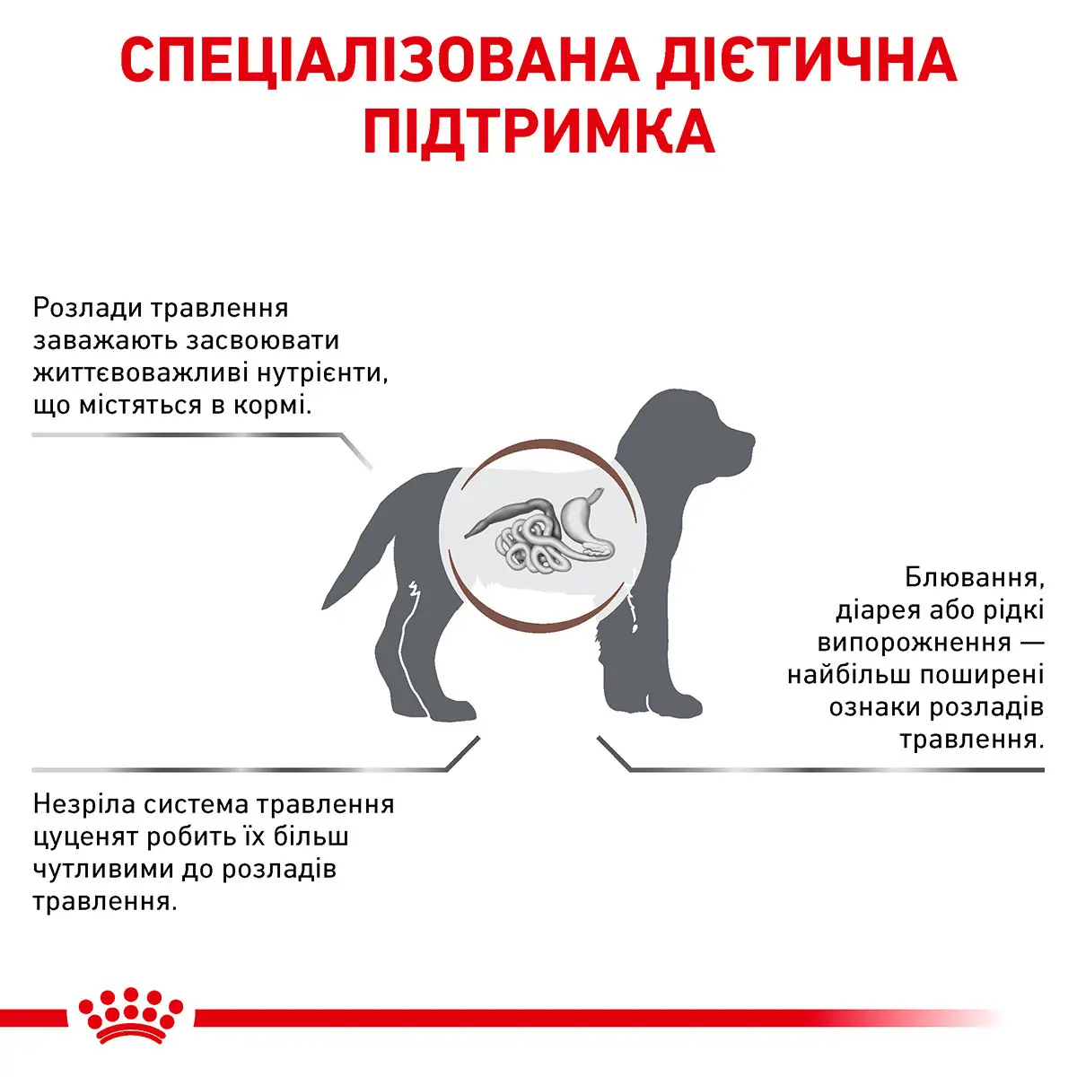 ROYAL CANIN Gastrointestinal Puppy Сухий корм для цуценят2