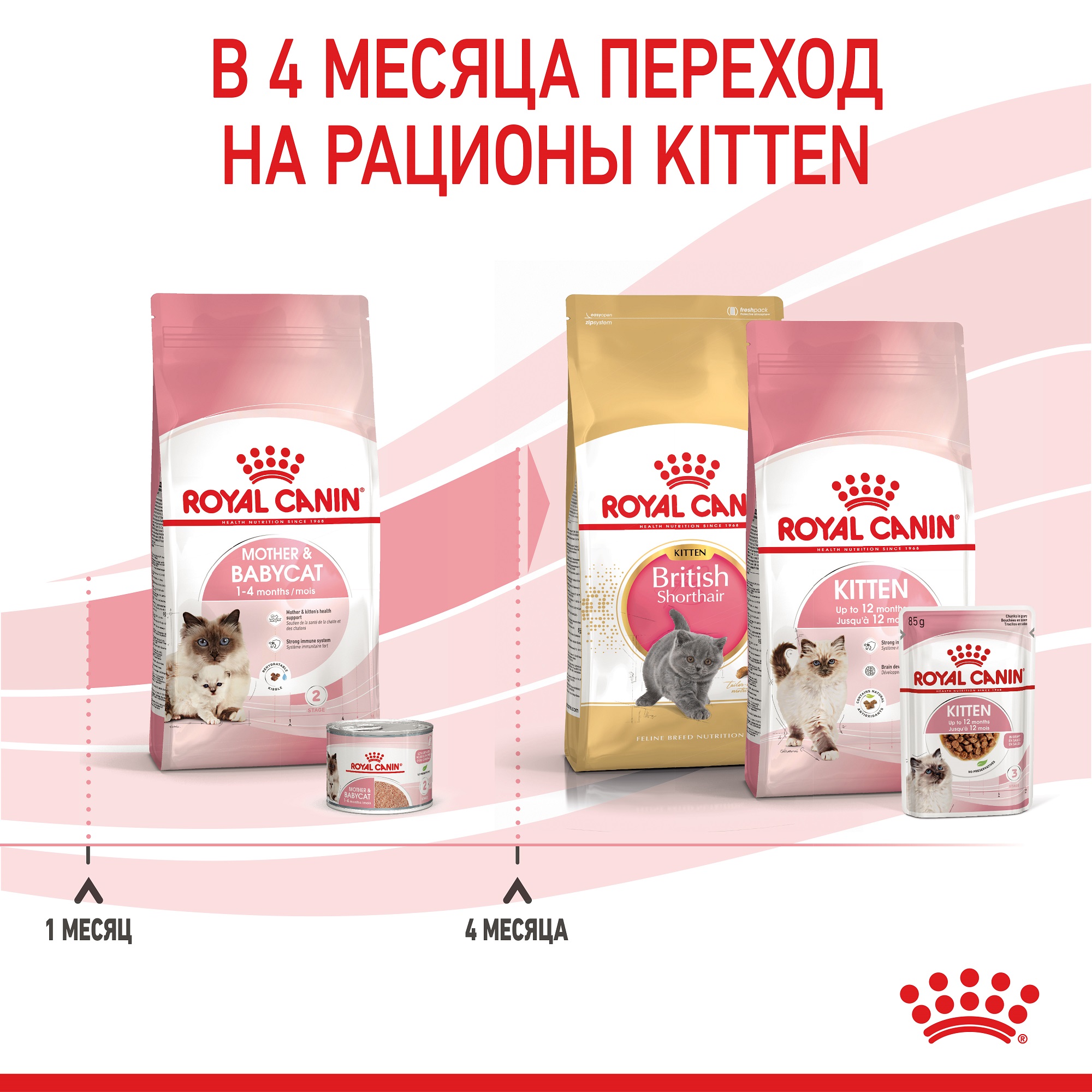 ROYAL CANIN Mother and Babycat Сухий корм для кошенят та кішок під час вагітності8