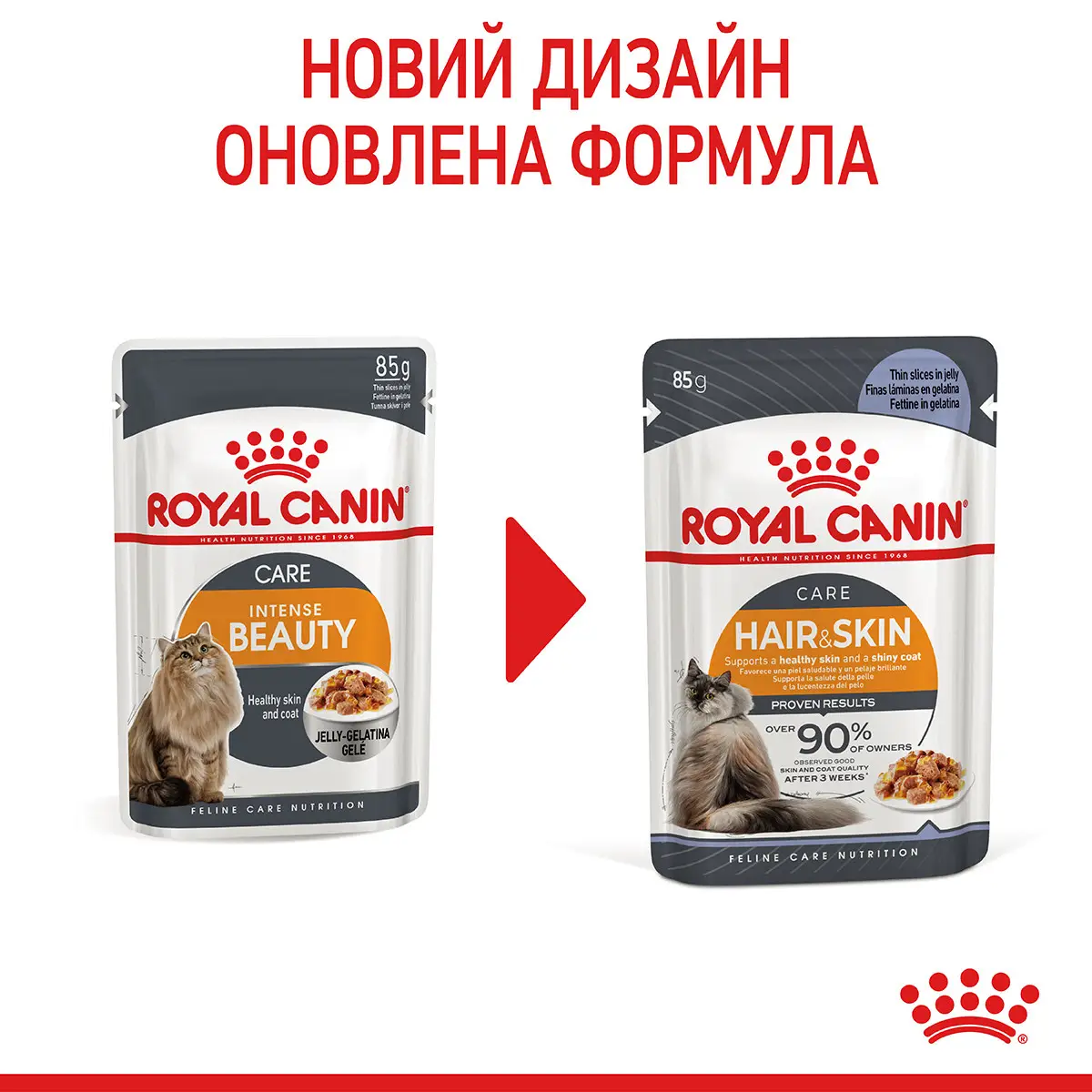 ROYAL CANIN Hair&Skin Care Jelly Вологий корм для дорослих котів4