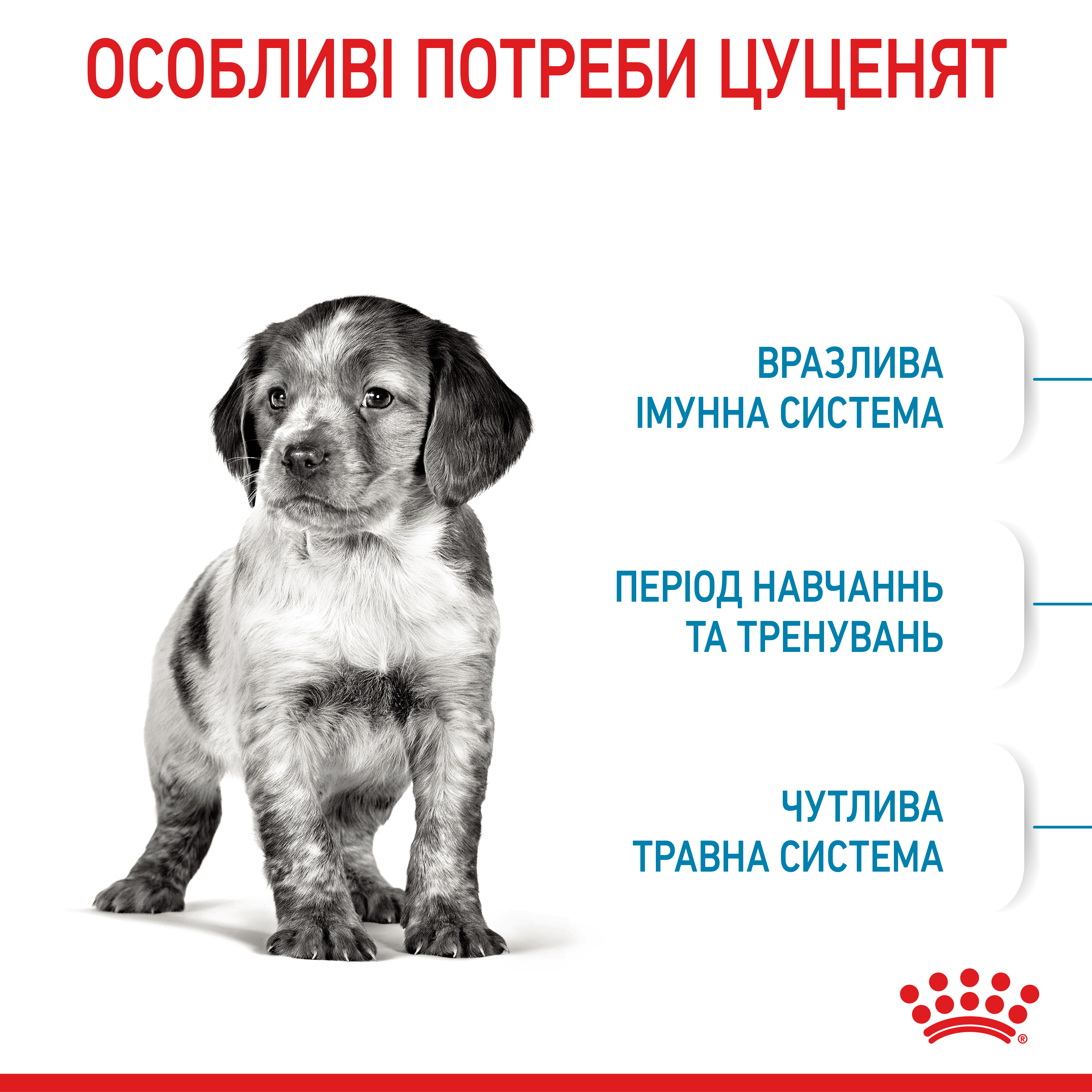 ROYAL CANIN Medium Puppy Сухий корм для цуценят9