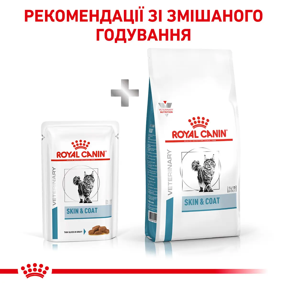 ROYAL CANIN Skin & Coat Cat Вологий корм для дорослих котів7