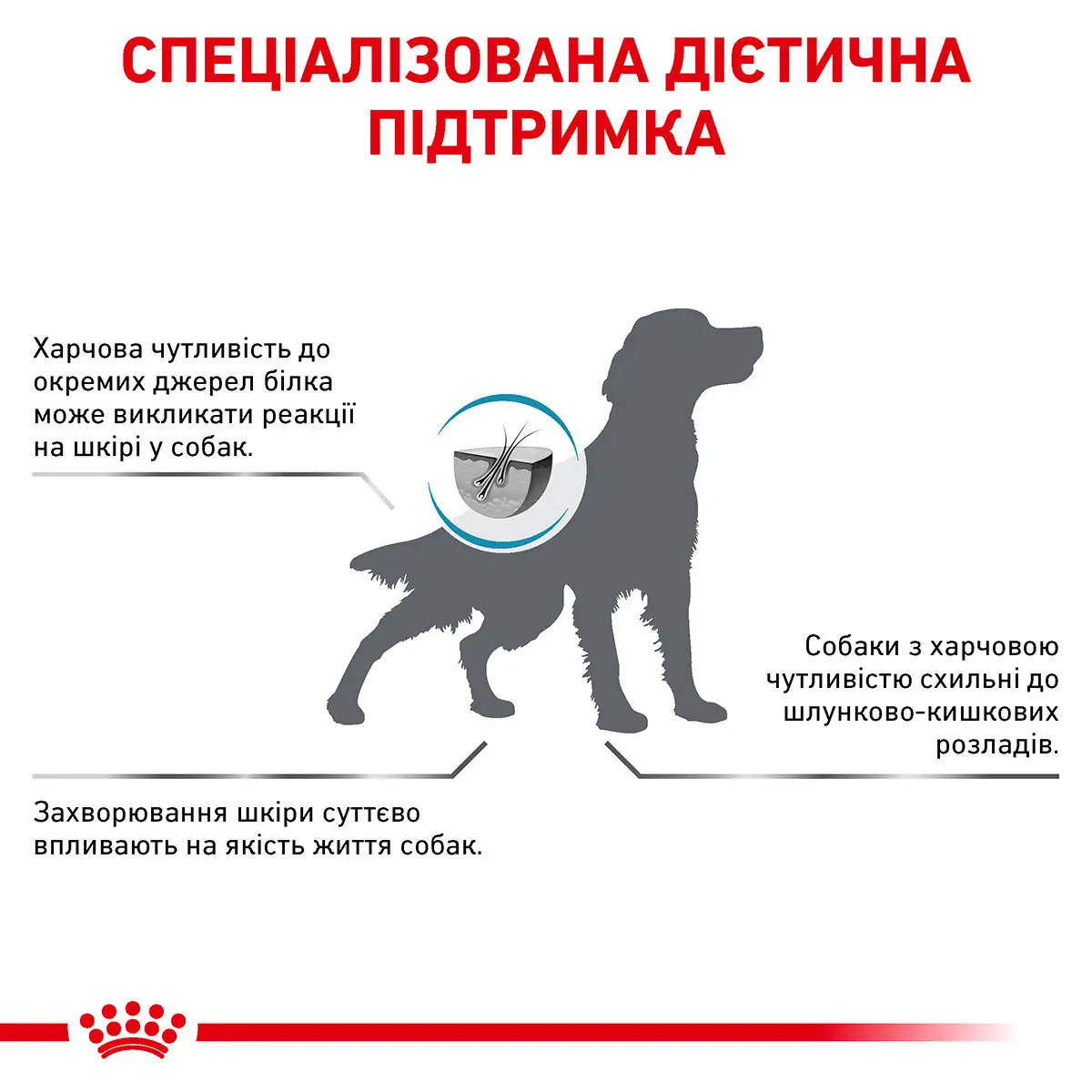 ROYAL CANIN Anallergenic Dog Сухий корм для дорослих собак4