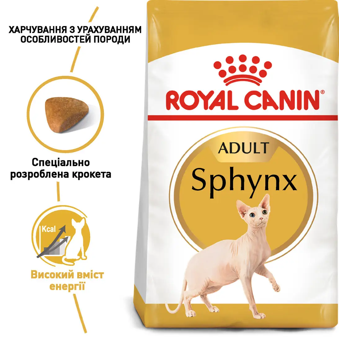 ROYAL CANIN Sphynx Adult Сухий корм для дорослих котів породи Сфінкс2