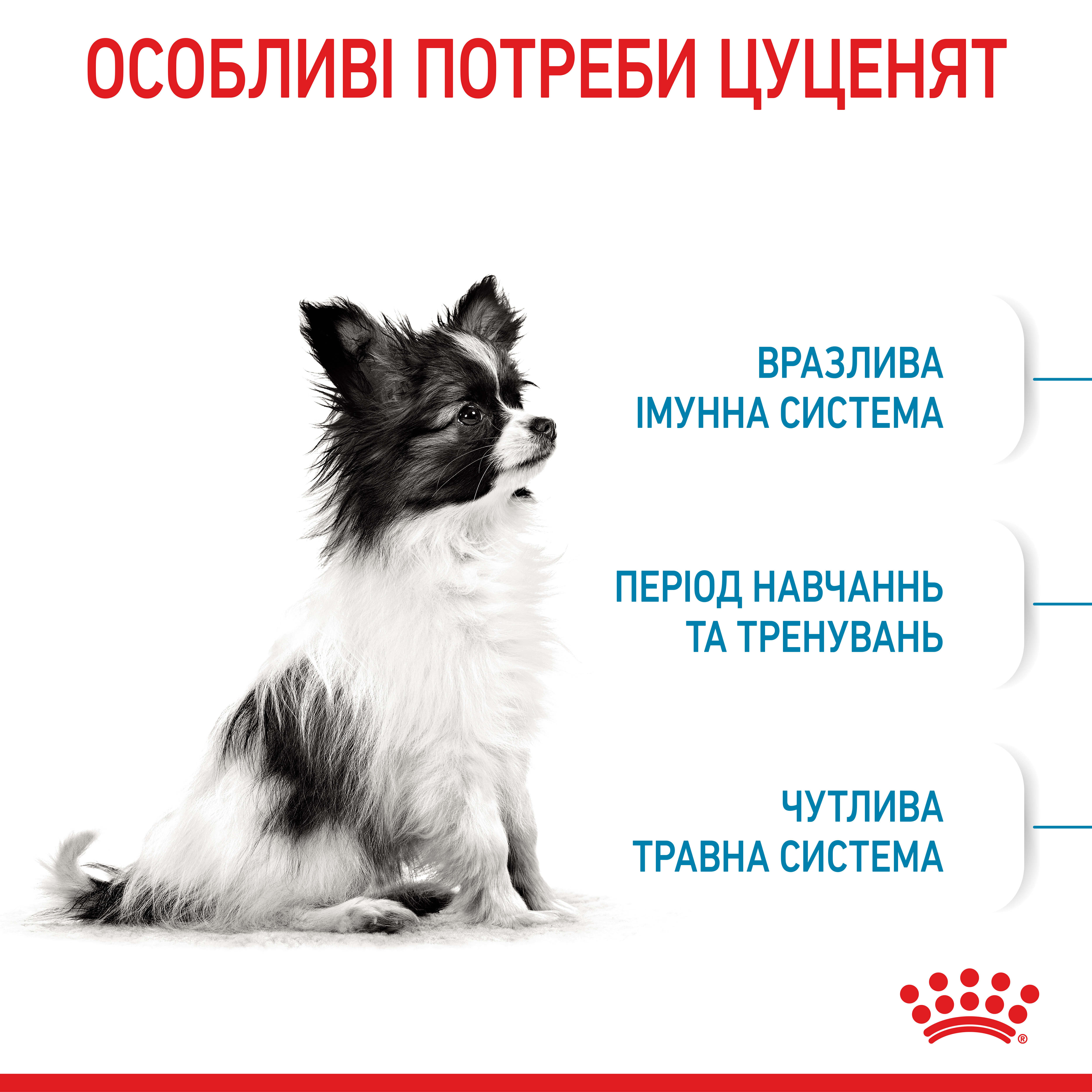 ROYAL CANIN X-Small Puppy Сухой корм для щенков миниатюрных пород2