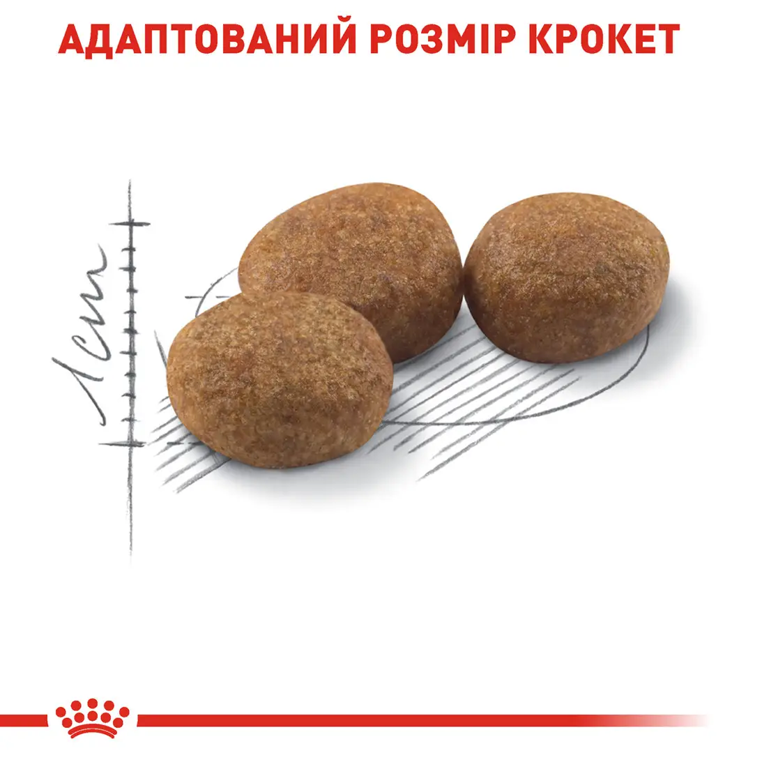 ROYAL CANIN Sterilised Сухий корм для дорослих стерилізованих котів4