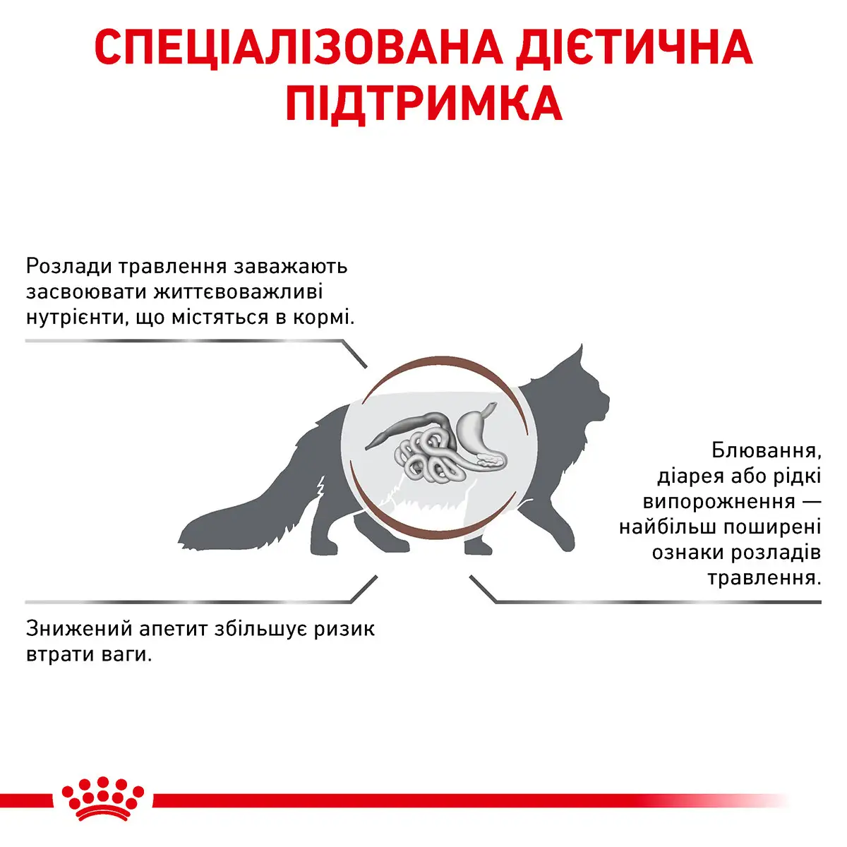 ROYAL CANIN Gastro Intestinal Cat Сухий корм для дорослих котів1