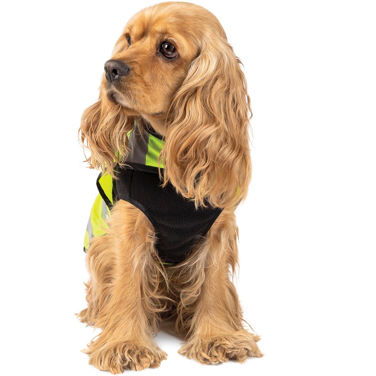 Pet Fashion Warm Yellow Vest Жилет для собак6