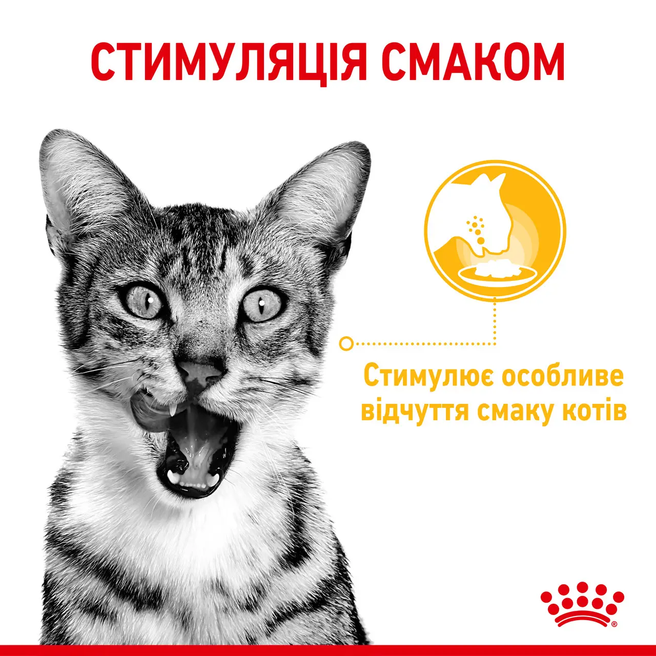 ROYAL CANIN Sensory Taste Gravy Влажный корм для взрослых котов2