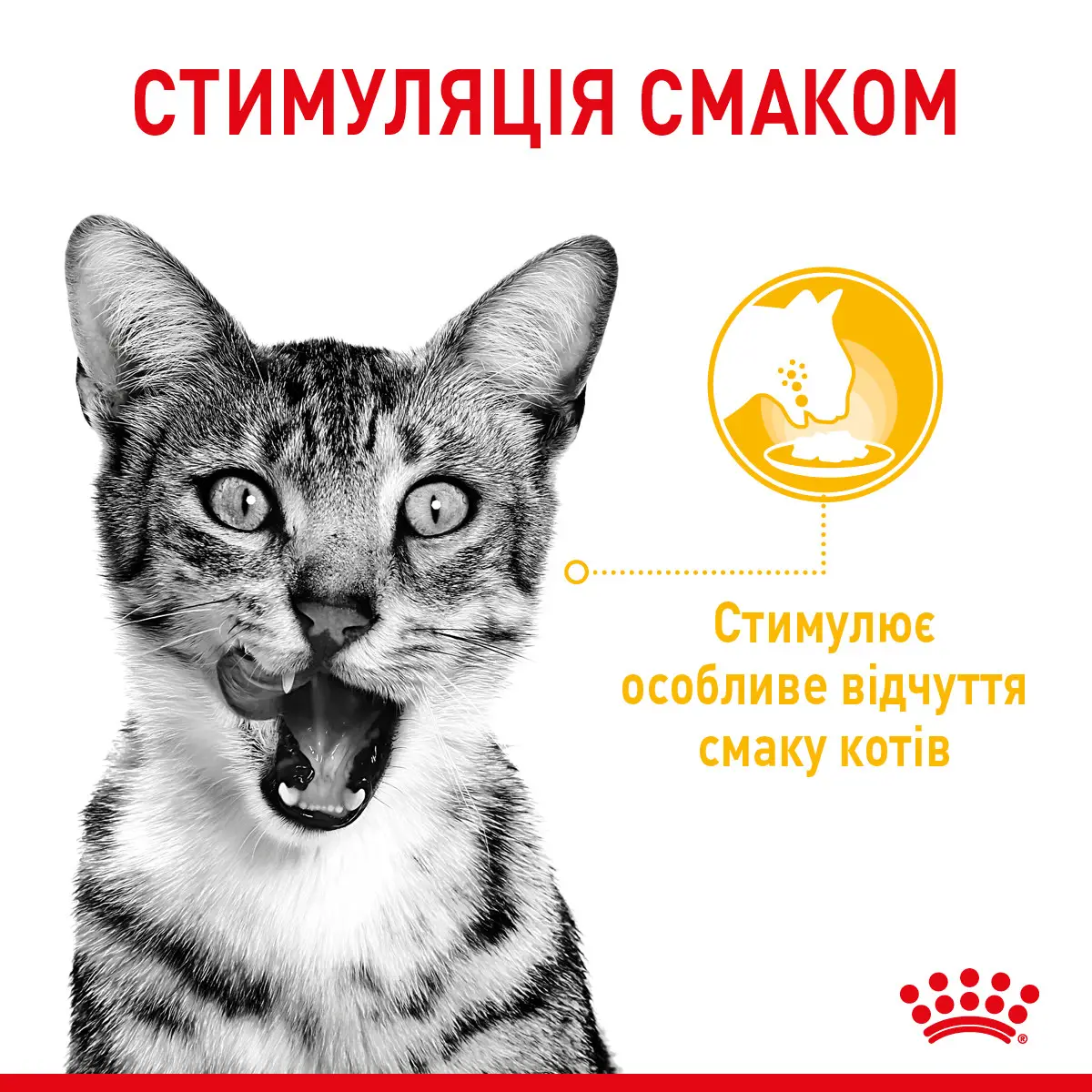 ROYAL CANIN Sensory Multipack Gravy Вологий корм для дорослих котів2