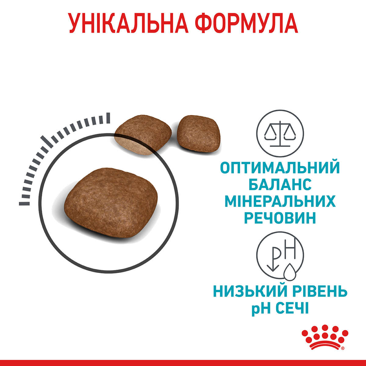 ROYAL CANIN Urinary Care Сухий корм для дорослих котів для підтримання здоров’я сечовивідних шляхів5