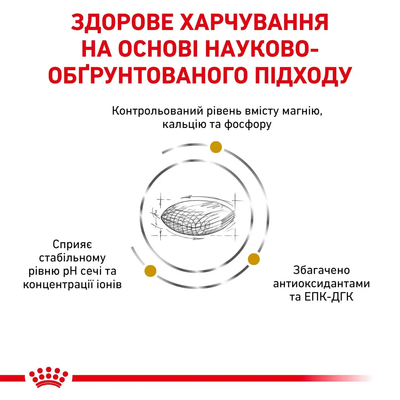 ROYAL CANIN Urinary S/O Dog Сухий корм для дорослих собак2