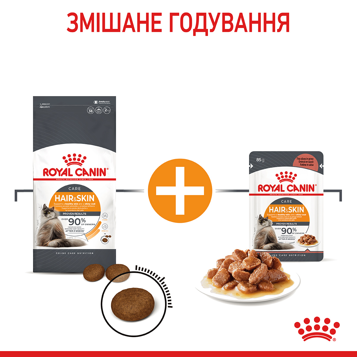 ROYAL CANIN Hair&Skin Care Сухий корм для підтримки здоров’я шкіри та блиску шерсті у котів9