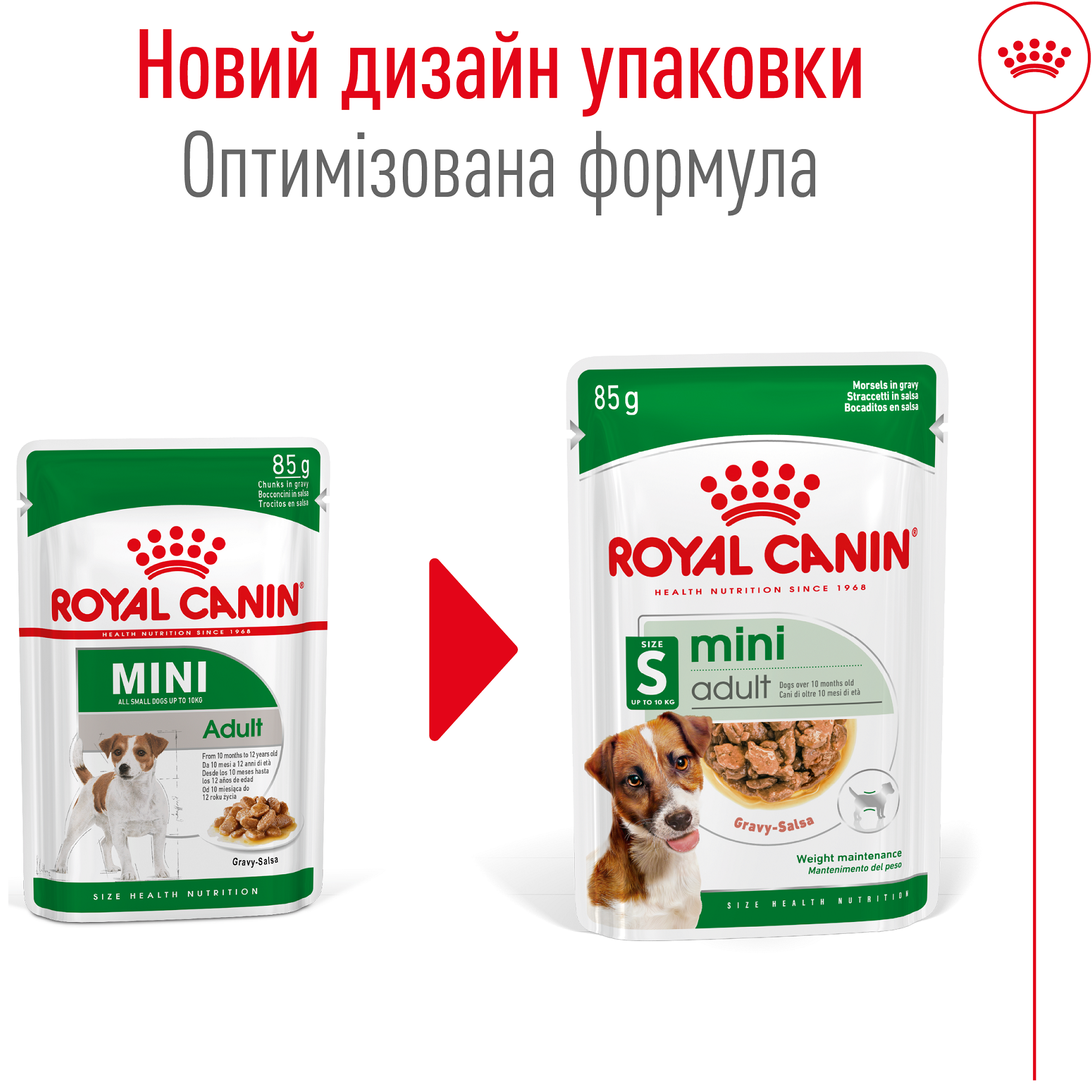 ROYAL CANIN Mini Adult Вологий корм для дорослих собак дрібних порід3