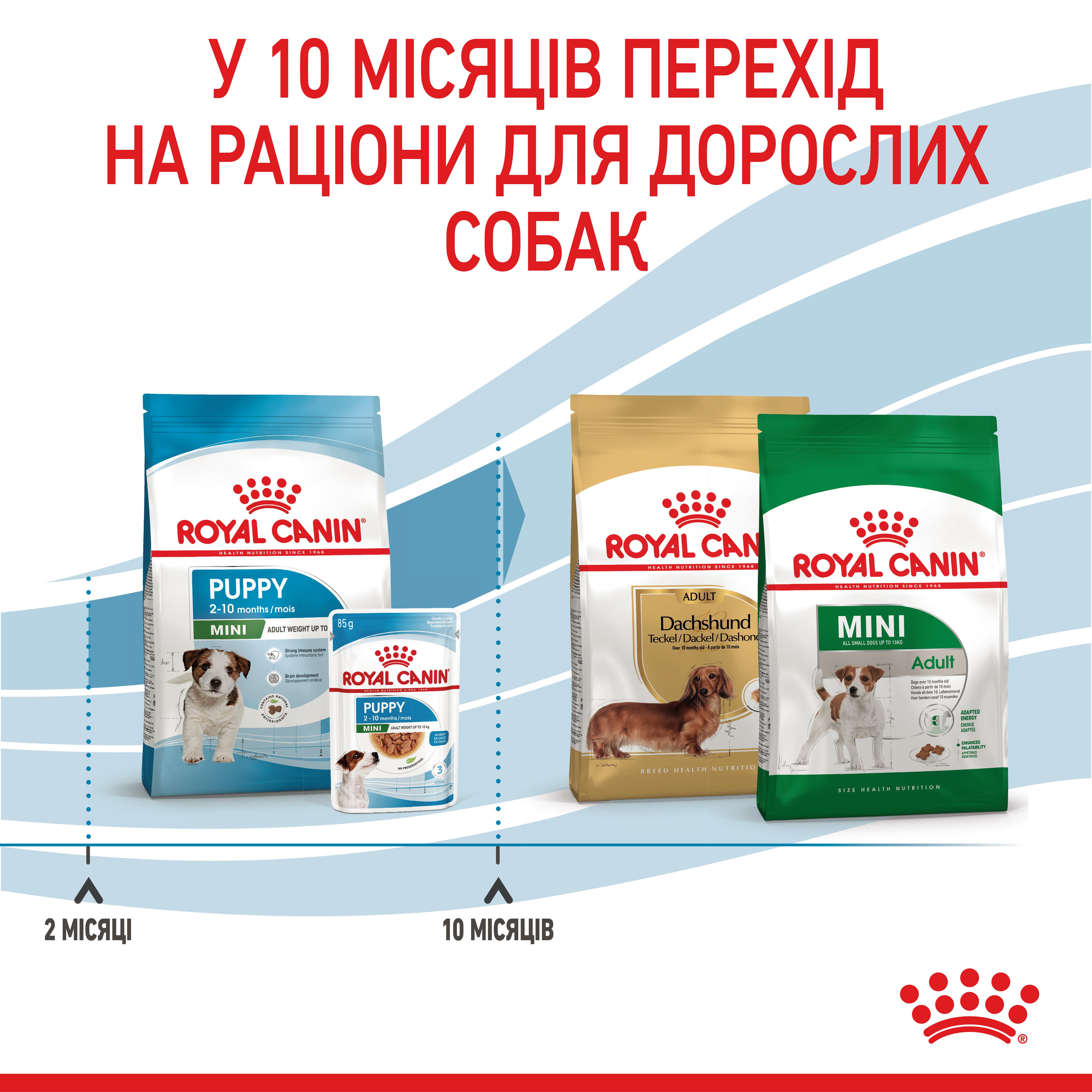 ROYAL CANIN Mini Puppy Сухий корм для цуценят дрібних порід9