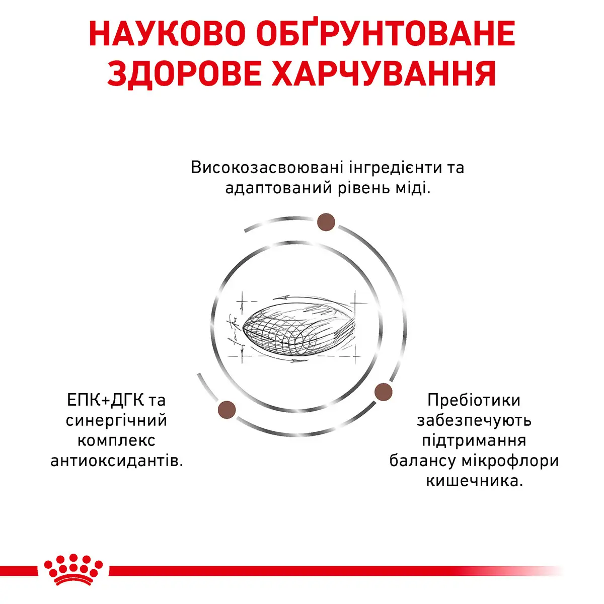 ROYAL CANIN Hepatic Canine Сухий корм для дорослих собак3