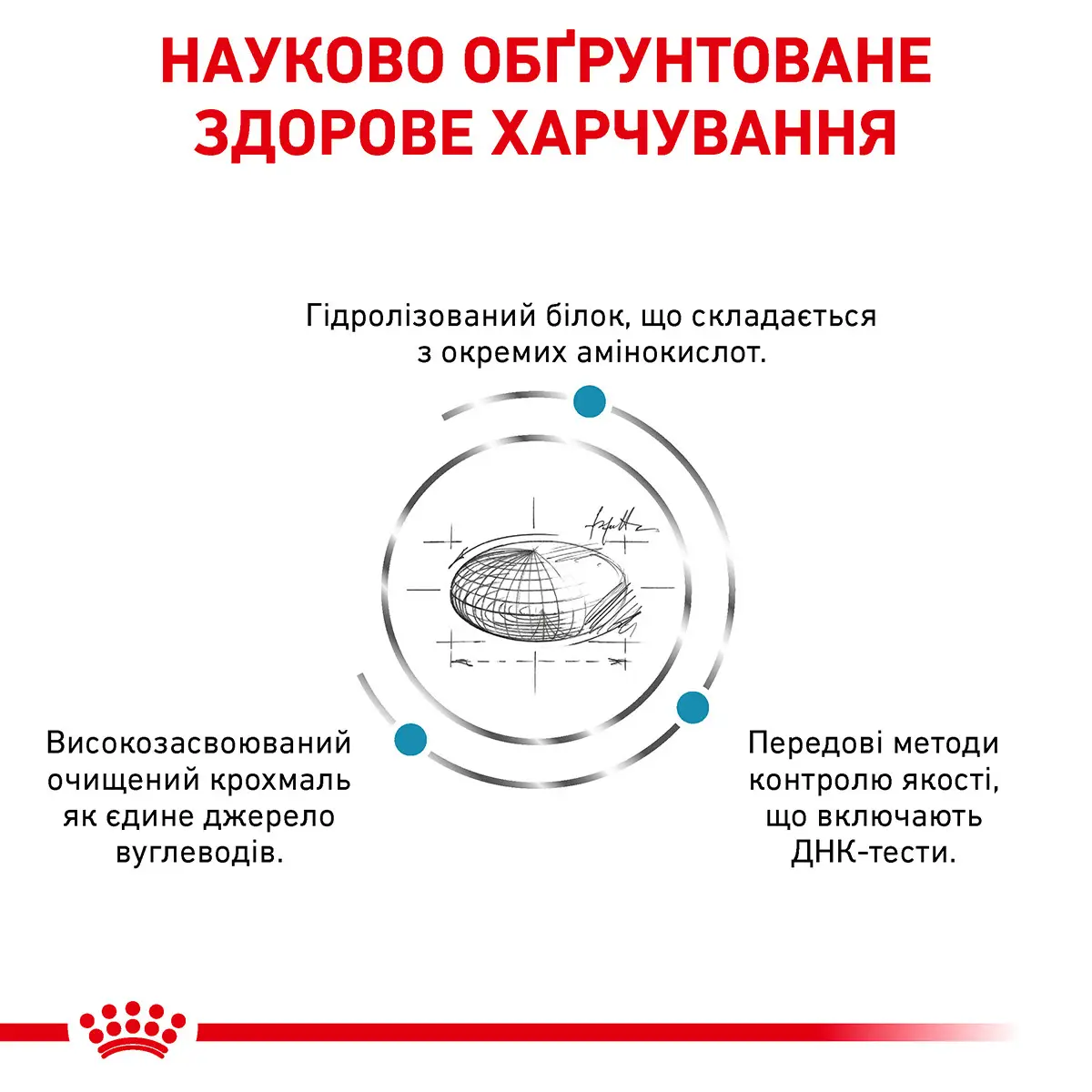 ROYAL CANIN Anallergenic Dog Сухой корм для взрослых собак2