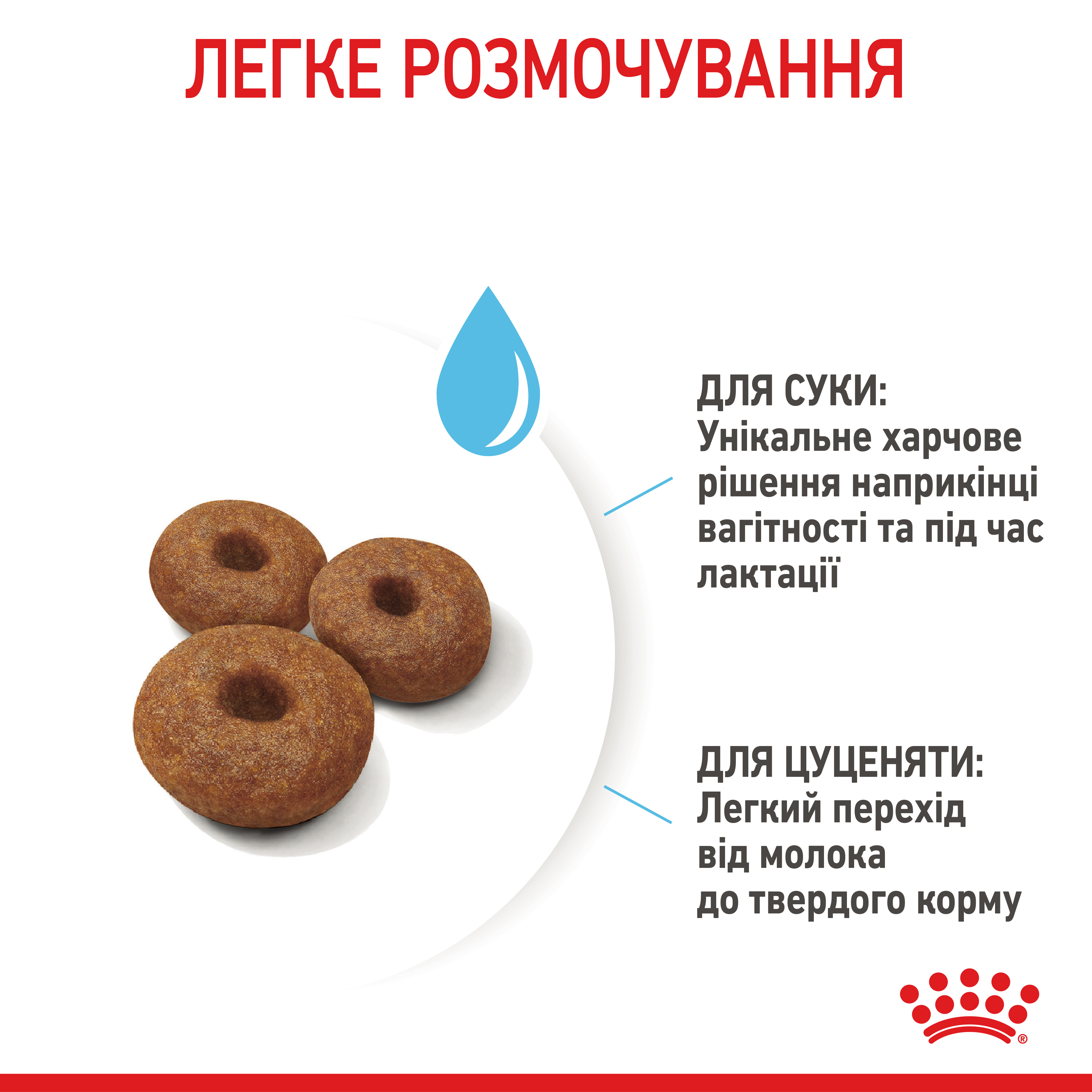 ROYAL CANIN Maxi Starter Сухой корм для кормящих собак больших пород5