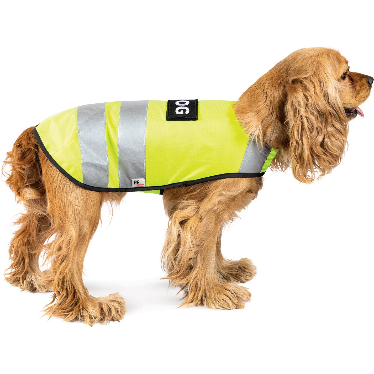 Pet Fashion Yellow Vest Жилет для собак3