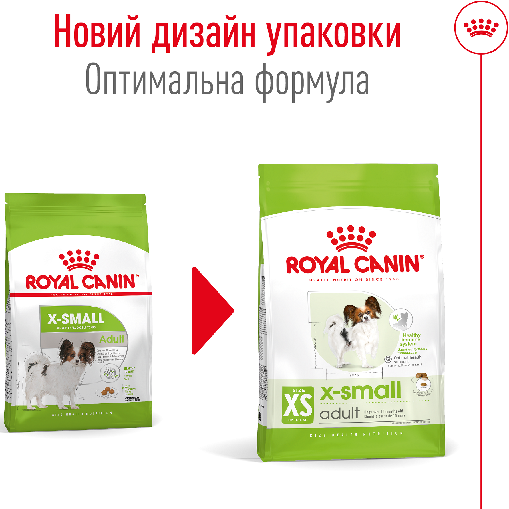 ROYAL CANIN X-Small Adult Сухий корм для дорослих собак дрібних порід3