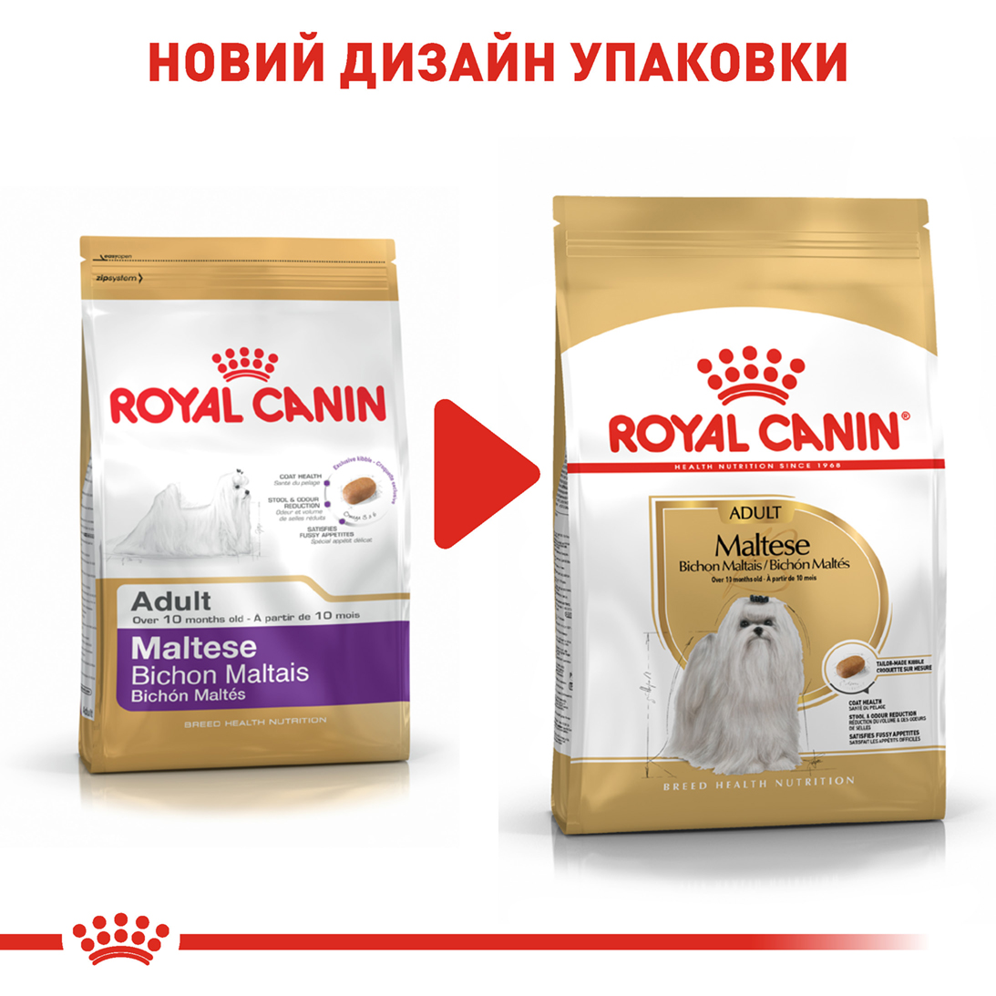 ROYAL CANIN Maltese Adult Сухий корм для дорослих собак породи Мальтійська болонка7