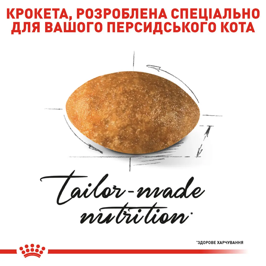 ROYAL CANIN Persian Adult Сухий корм для дорослих котів породи Персидська4