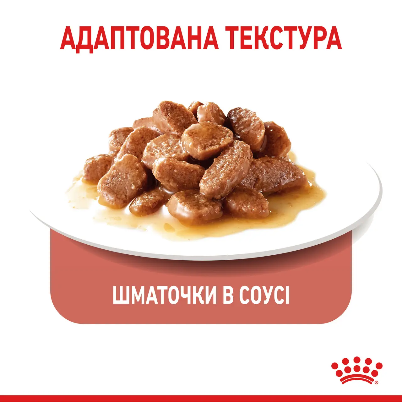 ROYAL CANIN Appetite Control Care Вологий корм для дорослих стерилізованих котів4