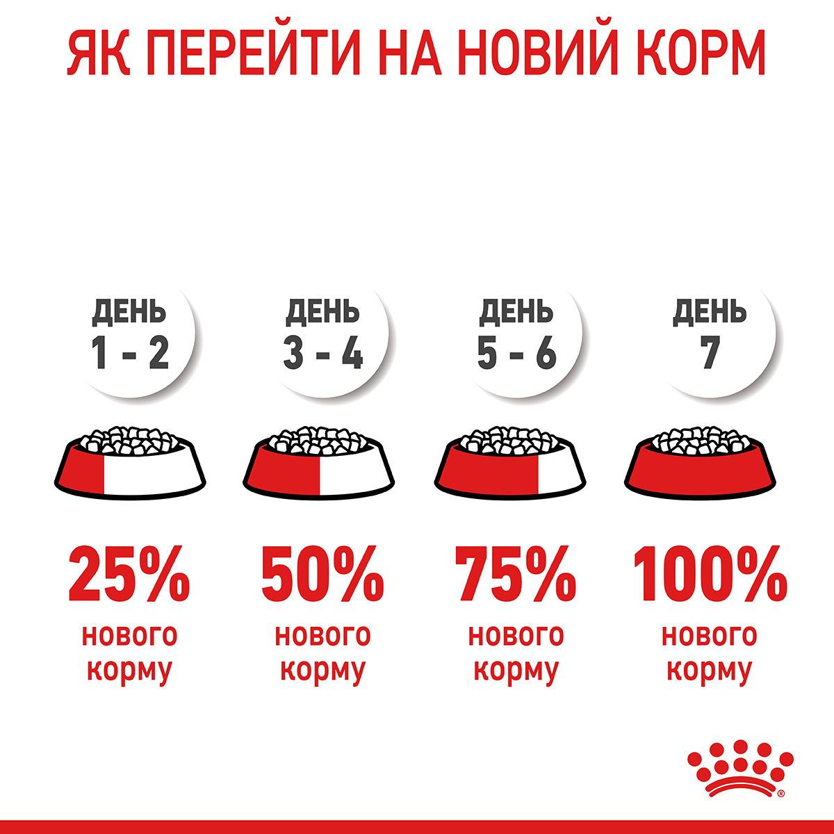 ROYAL CANIN Hair&Skin Care Сухой корм для поддержания здоровья кожи и блеска шерсти у котов6