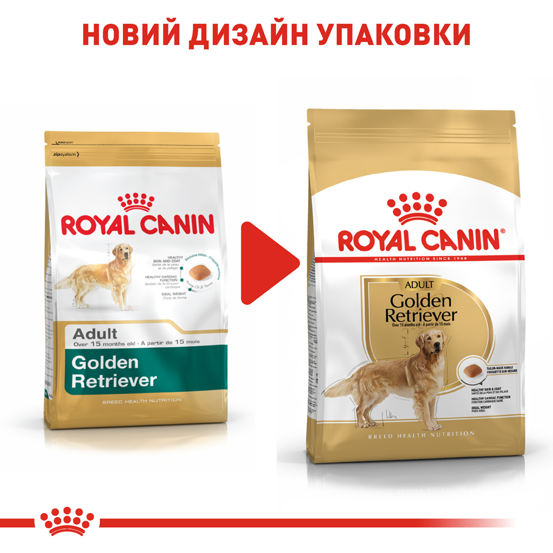 ROYAL CANIN Golden Retriever Adult Сухий корм для дорослих собак породи Золотистий ретривер7