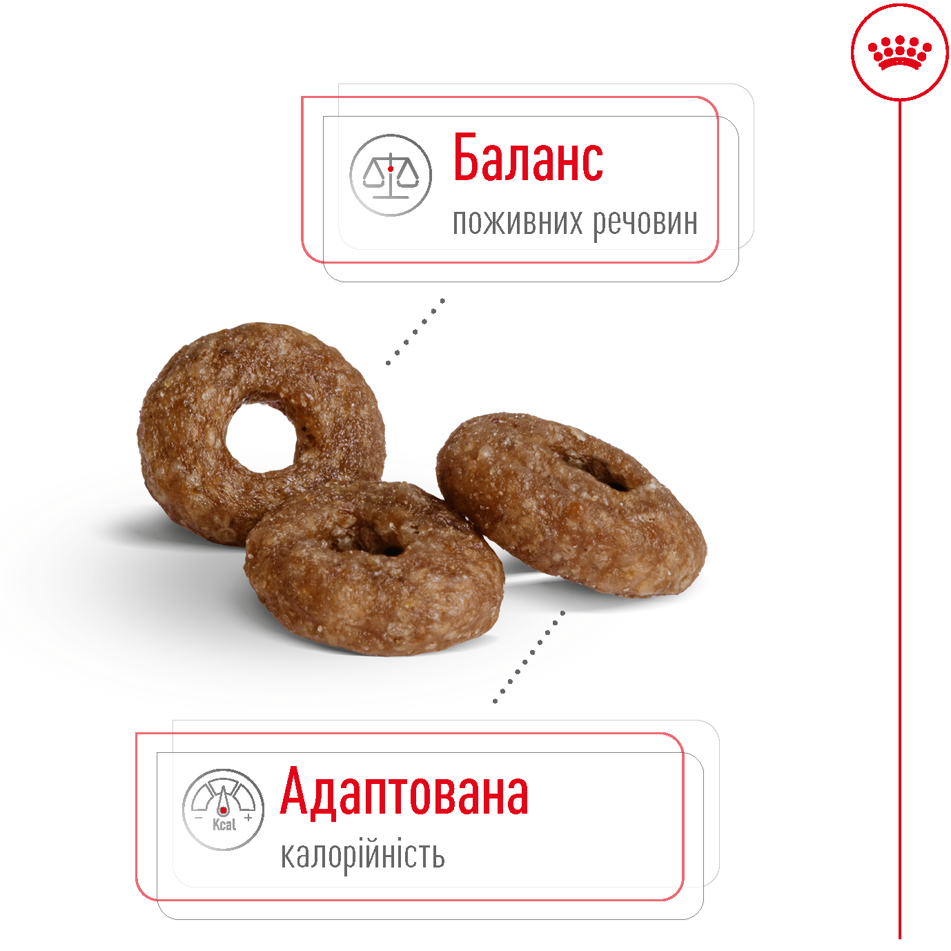 ROYAL CANIN Mini Ageing 12+ Сухий корм для старіючих собак дрібних порід від 12 років3