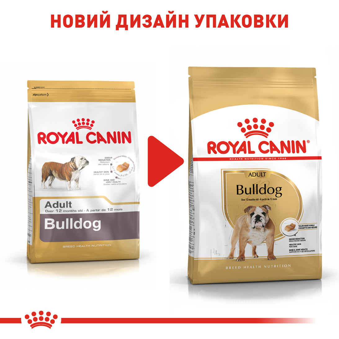 ROYAL CANIN Bulldog Adult Сухий корм для дорослих собак породи Англійський бульдог7