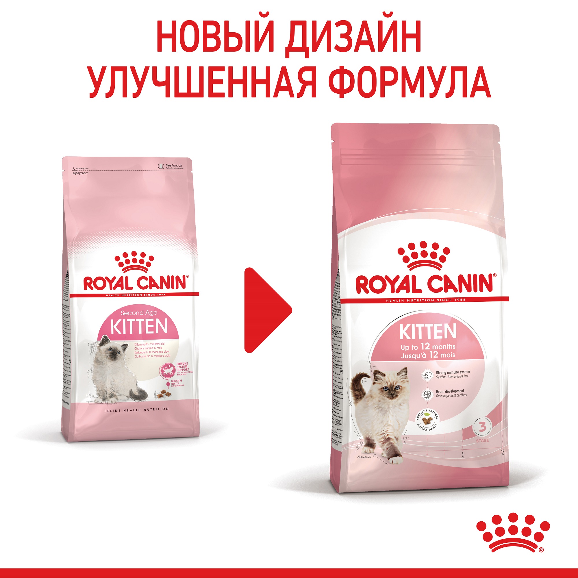 ROYAL CANIN Kitten Сухой корм для котят9