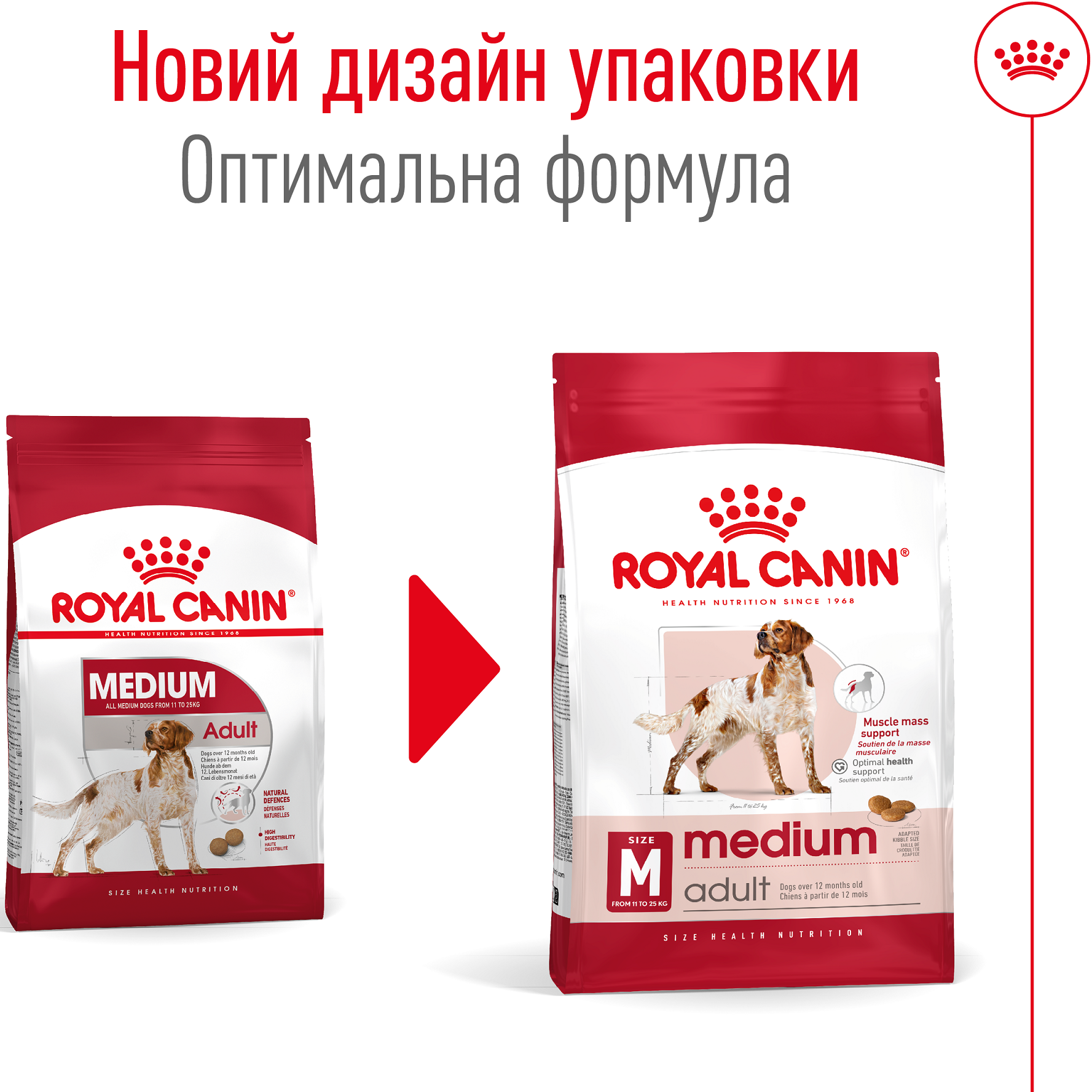 ROYAL CANIN Medium Adult Сухий корм для дорослих собак середніх порід1