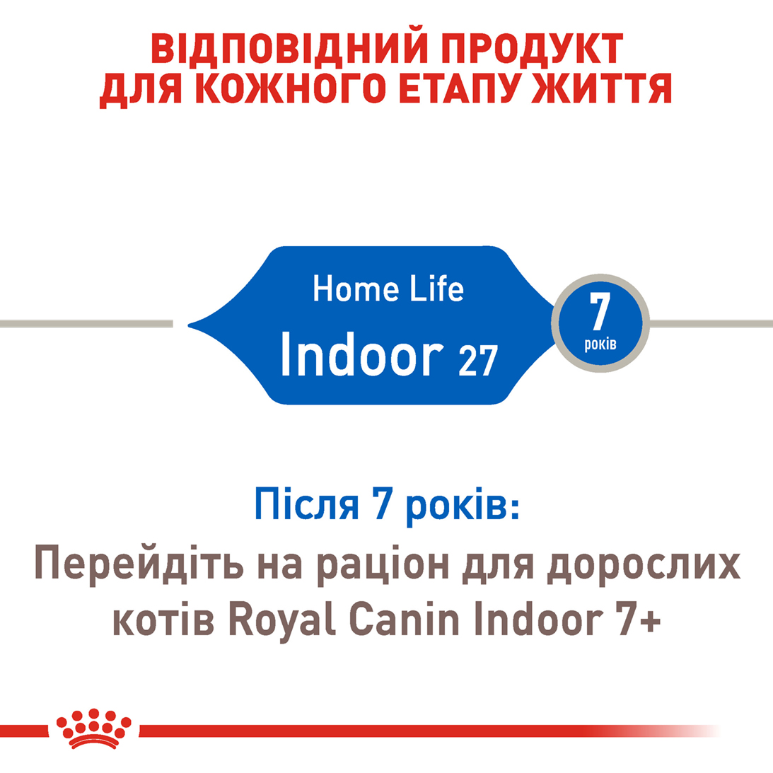 ROYAL CANIN Indoor Сухой корм для домашних котов2