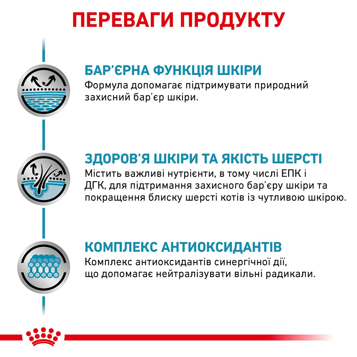 ROYAL CANIN Skin & Coat Cat Вологий корм для дорослих котів3