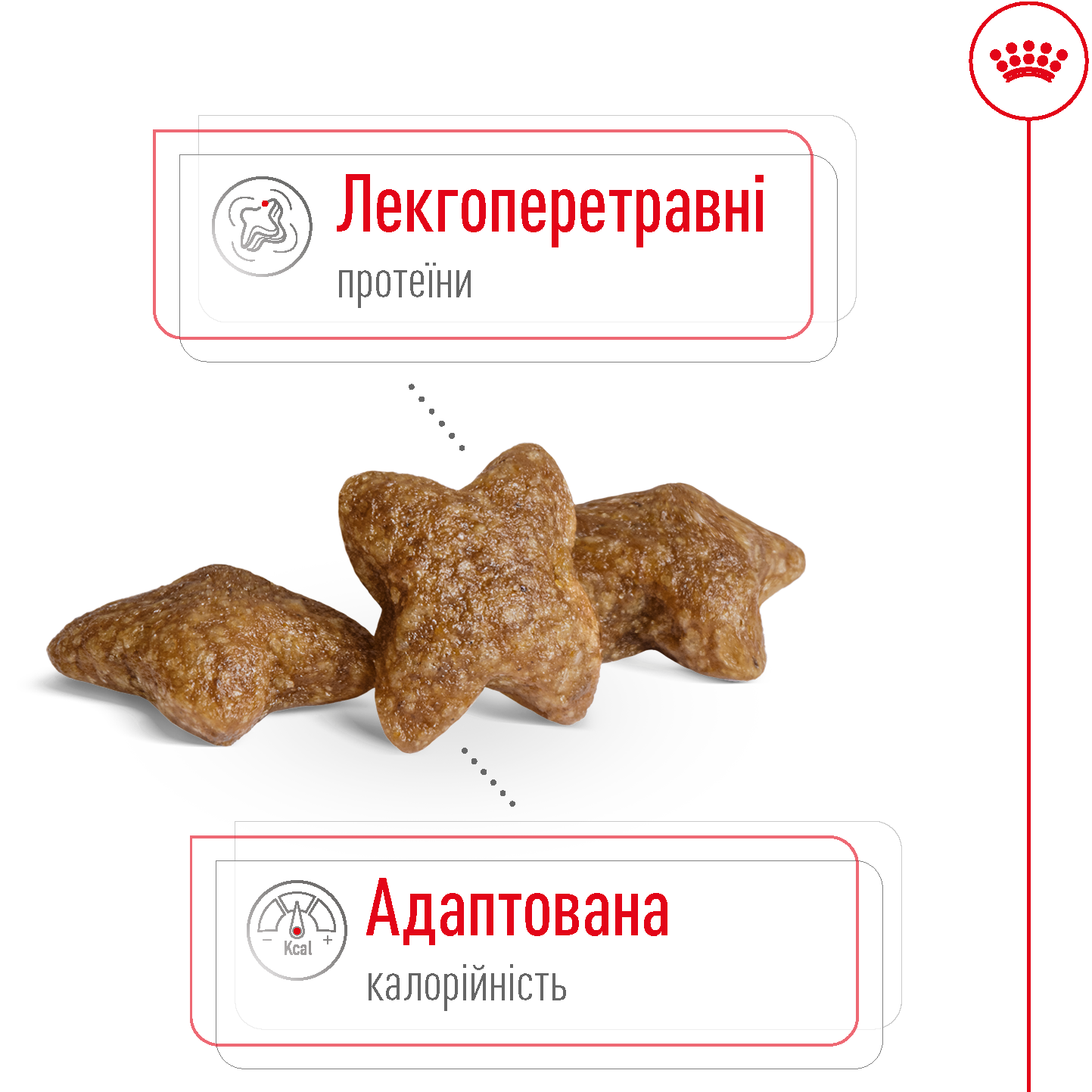 ROYAL CANIN Mini Adult Сухий корм для дорослих собак дрібних порід5