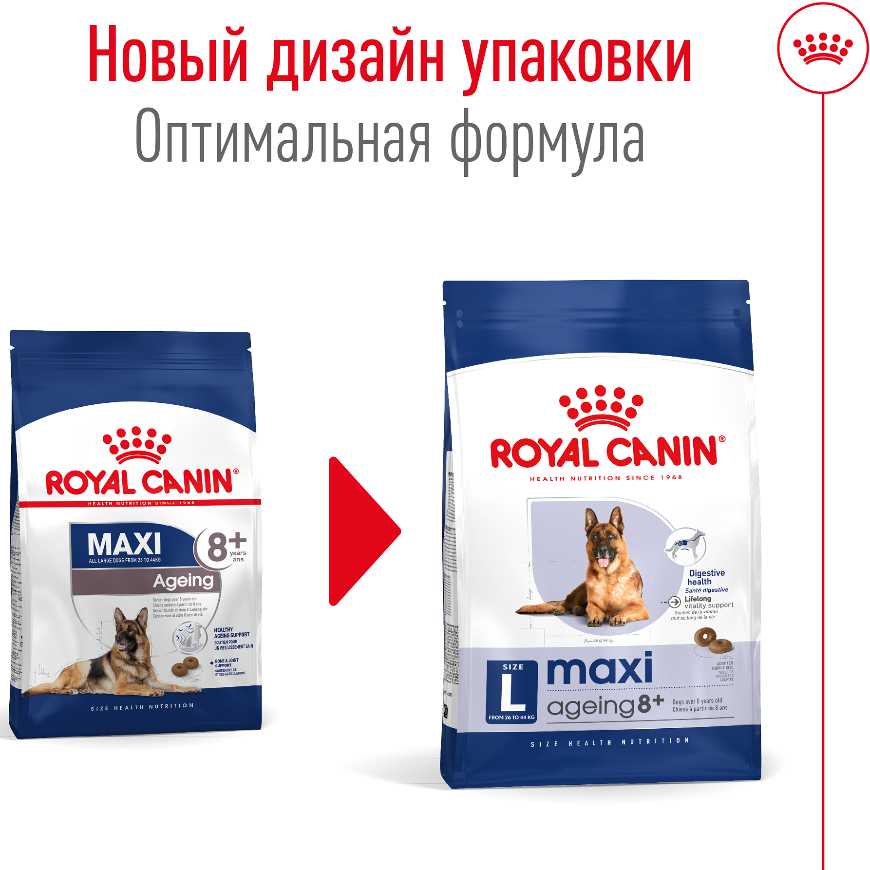 ROYAL CANIN Maxi Ageing 8+ Сухий корм для собак великих порід старше 8 років5