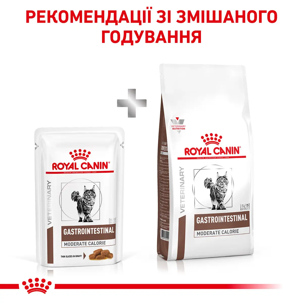 ROYAL CANIN Gastro-intestinal Moderate Влажный корм для взрослых котов2