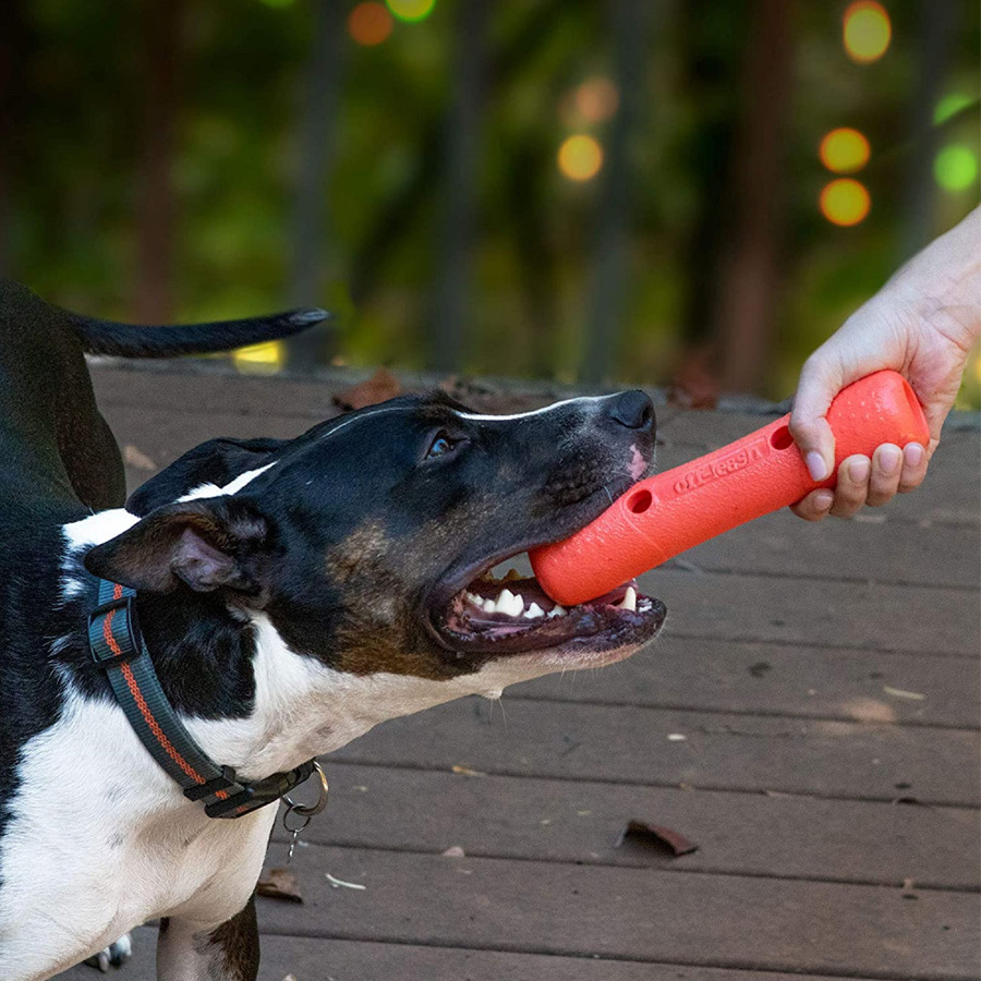 DEXAS Off-leash Tumbler Іграшка для собак Гантеля3