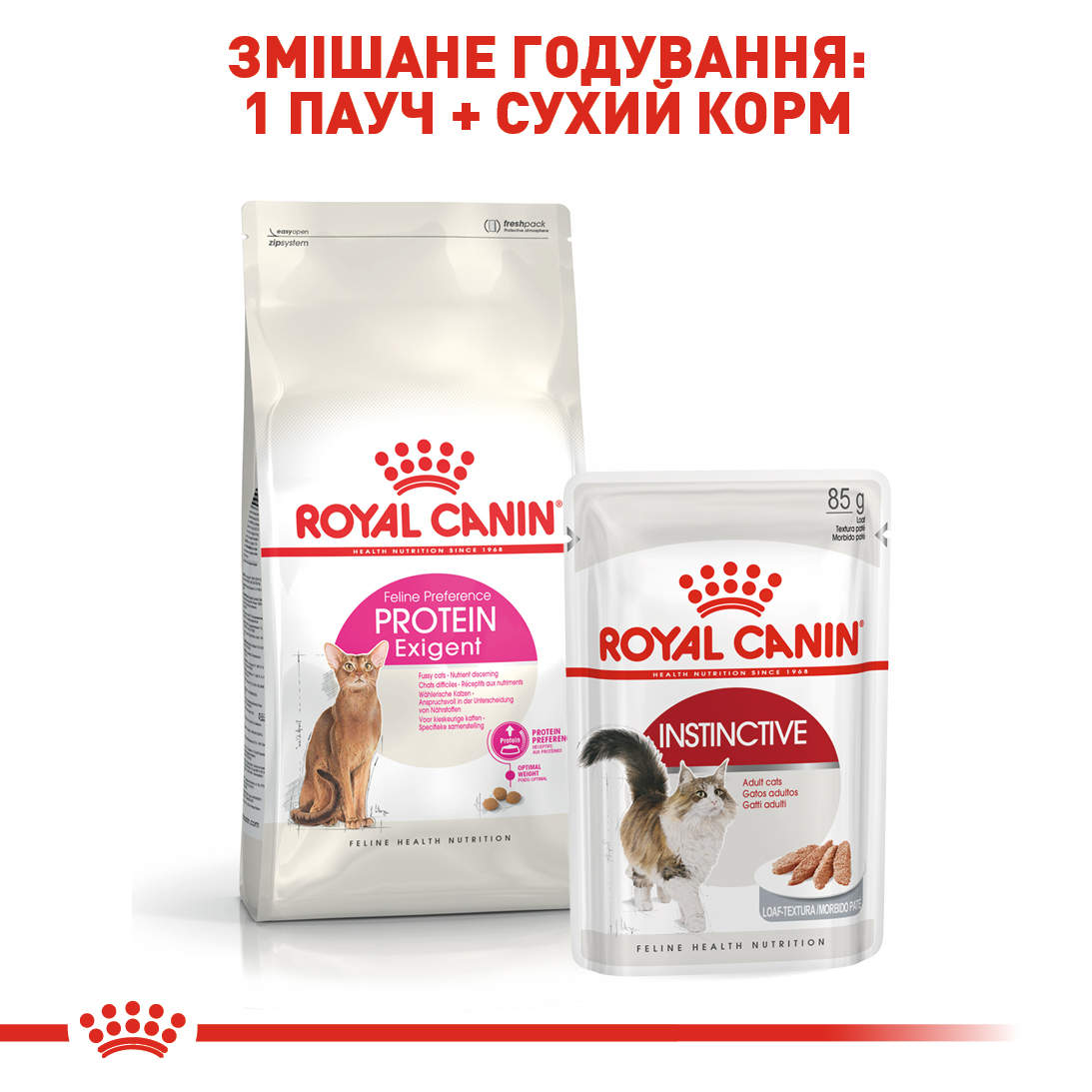 ROYAL CANIN Exigent Protein Сухий корм для дорослих котів вибагливих до поживності раціону7